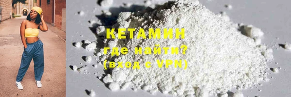 индика Каменка