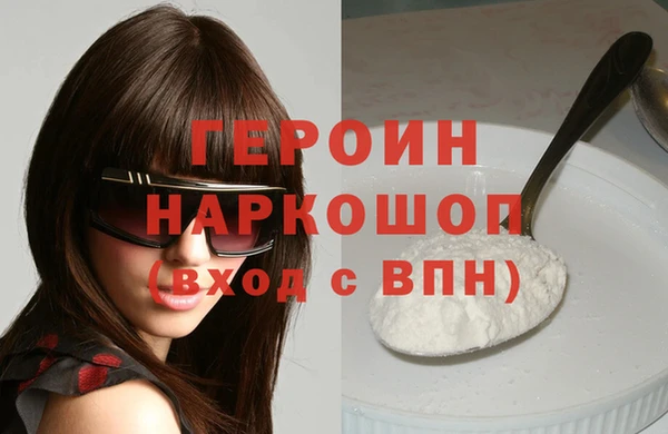 индика Каменка
