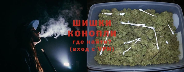 индика Каменка