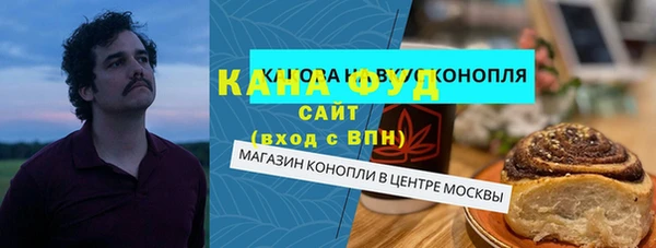 индика Каменка