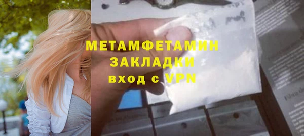 индика Каменка
