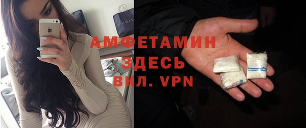 индика Каменка