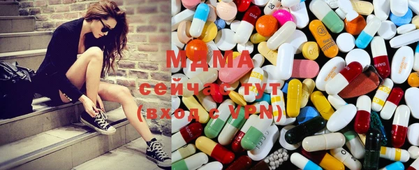индика Каменка