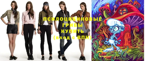ECSTASY Шали