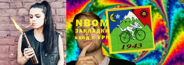 индика Каменка