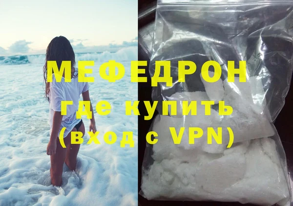 индика Каменка