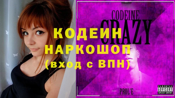 индика Каменка
