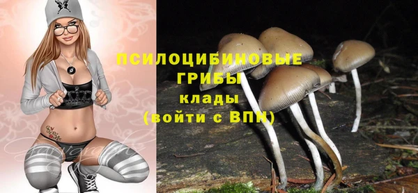 трава Каменногорск