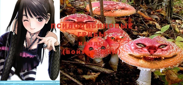 индика Каменка