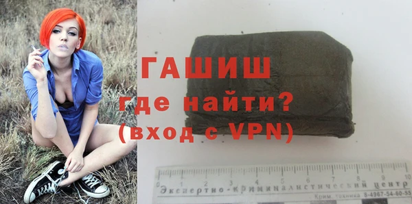 индика Каменка