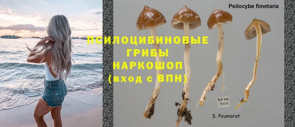ПСИЛОЦИБИНОВЫЕ ГРИБЫ Касимов