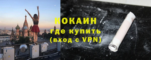 шишки Шадринск