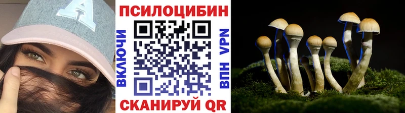 Галлюциногенные грибы прущие грибы  Купить закладки  Надым 